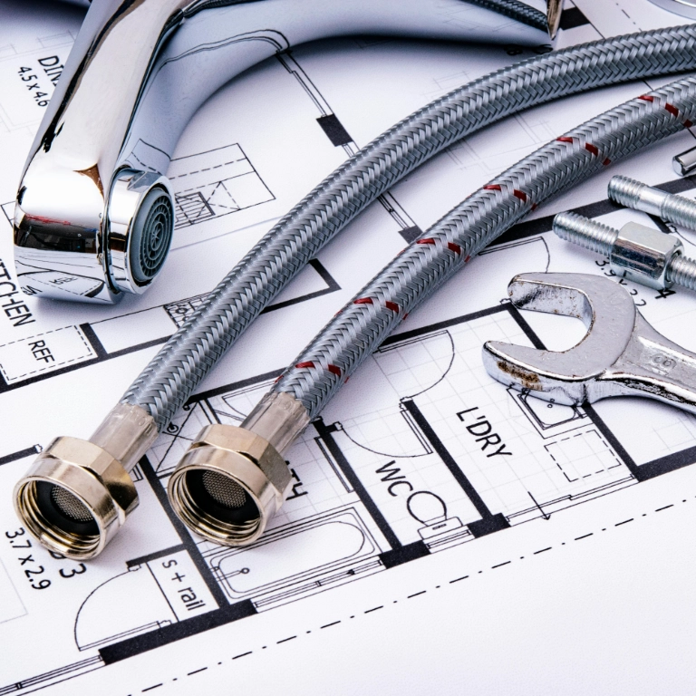 pexels asphotography 14953886 (1)