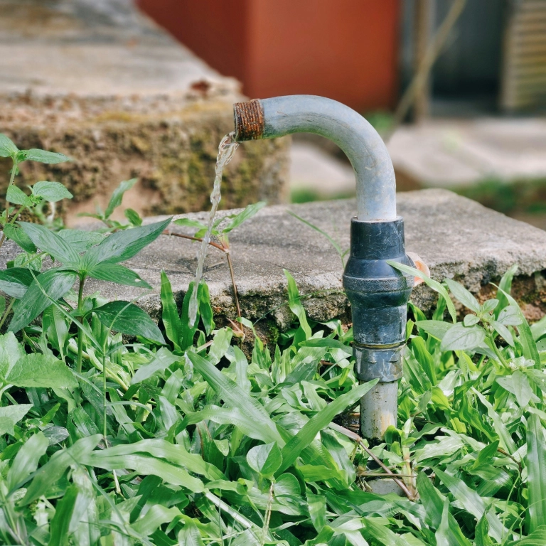 pexels chitteti 31894978