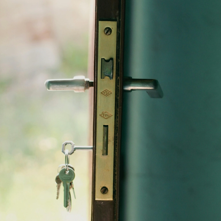 pexels esrakorkmaz 17325288 (1)