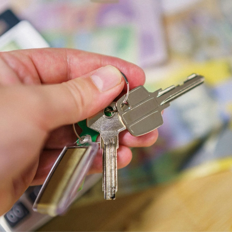 pexels jakubzerdzicki 27641056 (1)