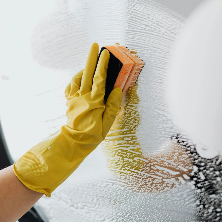 pexels karola g 4239146 (1)