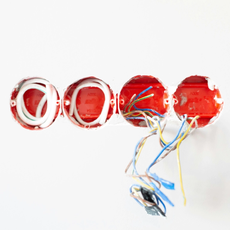 pexels lamiko 3615735 (1)