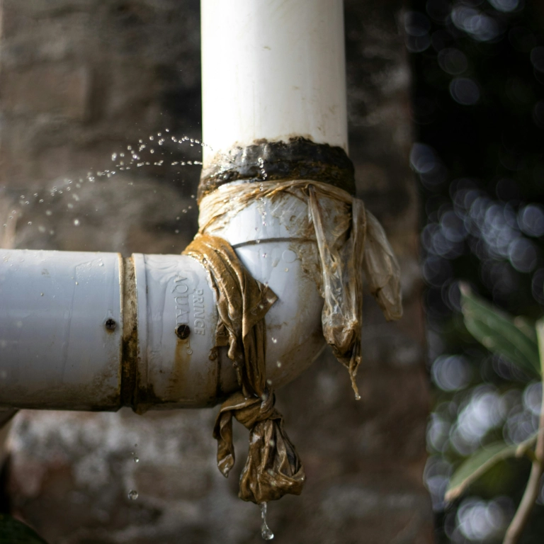 pexels swastikarora 15206136