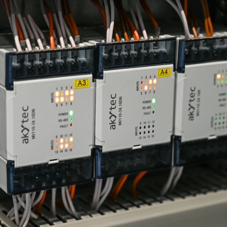 pexels vladimirsrajber 19841119 (1)